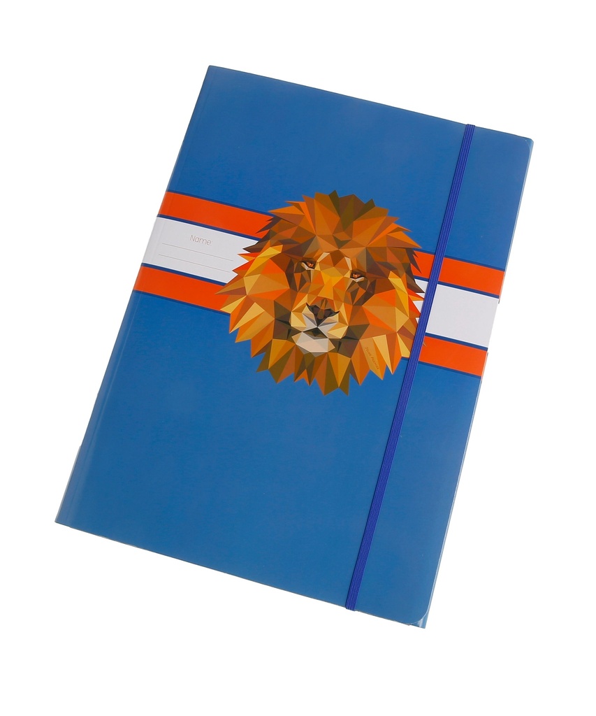 File Folder Lion Head